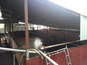 Aceite de Cáscara de Anacardo de Alta Calidad para Biodiésel/ Vivian Ha +84 33 88 20 462 - Product Image 6