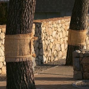 PROTECCIÓN DE TRONCO DE ÁRBOL CONTRA EL FRÍO - Product Image 3