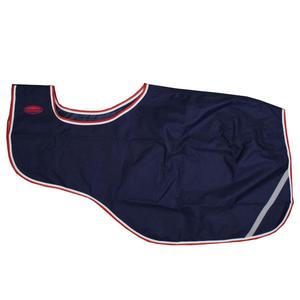 Véritable qualité supérieure, utilisation toute saison, 600/1200/1680 deniers, 100% imperméable, tissu ripstop, couverture d'exercice pour cheval, modèle AIHES-654 - Product Image 1
