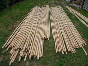 GOOD QUALITY <b>BAMBOO</b> POLES/<b>BAMBOO</b> <b>CANES</b> FROM VIET NAM - Product Image 2