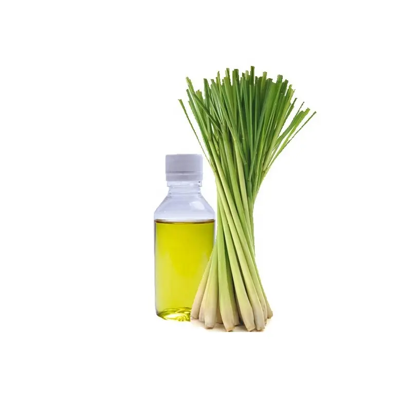 100% чистое противогрибковое эфирное масло имбирной травы, используемое для лечения грибковой инфекции, доступное по низкой цене из Индии