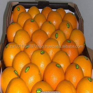 Naranjas Mandarinas Frescas de Primera Calidad con Certificación ISO - Product Image 2