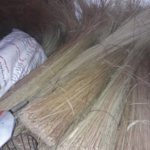 Palitos de Hoja de Coco NATURAL de Alta Calidad a Precio Especial de Vietnam - Material para Hacer Escobas - Product Image 2
