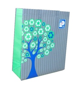 Bolsas de Compras Reutilizables de Polipropileno No Tejido Ecológicas al por Mayor de Vietnam, Estilo Redondo y Moderno, Cierre Abierto, 100gsm 110gsm 120gsm - Product Image 1