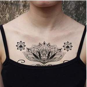 เฮนน่าสีดำ Mehandi สัก Baq เฮนน่าร่างกายทาสีสักการใช้งานที่ดีที่สุดของอินทรีย์ - Product Image 6