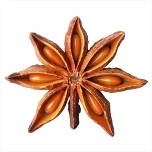 VIETNAM STAR ANISE BEST PRICE WHOLE SALE