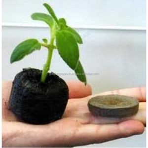 De coco de coco PELLETS/ COIR PITH/Red de coco PELLETS - Product Image 4