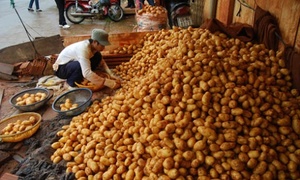 Patata fresca para hacer patatas fritas Sra. Holiday - Product Image 5