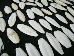 กระดูกปลาหมึกแห้งเวียดนาม เกรด 1 บรรจุกล่อง ราคาแข่งขัน - Product Image 2