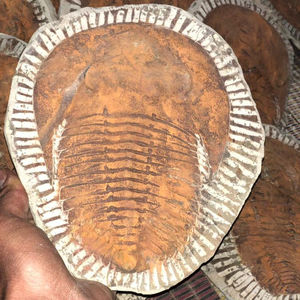 อ่างหินธรรมชาติจากโมร็อกโก ดีไซน์โดดเด่น เป็นมิตรกับสิ่งแวดล้อม เหมาะสำหรับตกแต่งบ้าน - Product Image 5