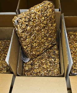 Nueces Secas de Primera Calidad en Venta, Procesadas Crudas, Provenientes de Sudáfrica, para Exportación Mundial - Product Image 3