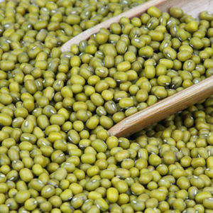 Haricots Mungo Verts Grade 1 AD Séchés 25kg Emballage en Vrac Prix Usine Vente en Gros - Product Image 6
