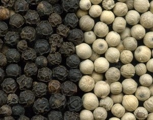 พริกไทยขาวเวียดนามขายส่งสำหรับส่งออก คุณภาพดี ราคาดีที่สุด - Product Image 6