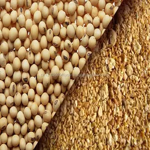 Dijual Makanan Gluten Jagung untuk Protein 60%, Kualitas Baik Ketebalan Kedelai