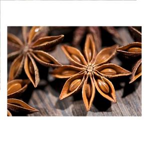 Top Sale 2023 Sachi Inchi Eye <b>Nuts</b> Polished Finish with Export Quality Best Price - Product Image 1