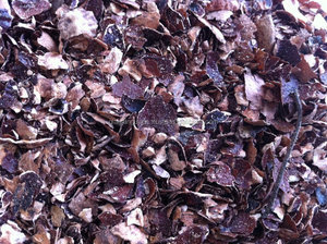 Déchets agricoles de la société GIA GIA NGUYEN, coque de noix de cajou à des fins de tannage - Product Image 3