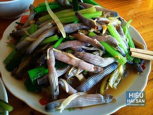 Oferta Gusanos Marinos Secos - Product Image 4