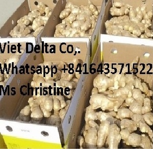 ราคาต่อตันของขิงสดจากเวียดนาม - Product Image 2