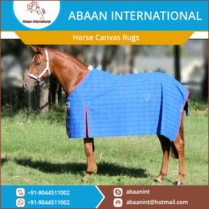 Manta Impermeable para Caballo sin Cuello, de Lona Resistente, de Algodón, para Establos y Exteriores - Product Image 3