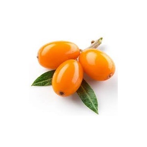 Aceite de semilla de espino amarillo prensado en frío de origen ucraniano, líquido naranja claro/rojo certificado GMP - Product Image 2