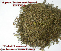 Ocimum Sanctum 잎 바질 Tulsi 잎 Tulsi 씨앗 잎