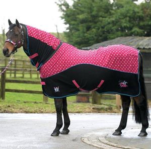 ผู้จัดจำหน่ายส่งผ้าห่มม้าคุณภาพพรีเมียมสำหรับฤดูใบไม้ผลิและฤดูใบไม้ร่วง แบบมีสายรัดหน้าอก 2 สาย สายรัดท้อง 2/3 สาย และสายรัดขา 2 สาย - Product Image 6