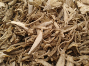 ราก polyscias อบแห้งสำหรับชา - Product Image 5
