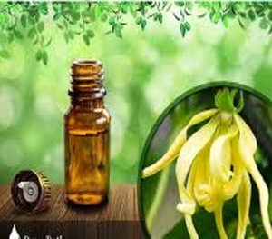 Extrait naturel de plante d'huile essentielle d'Ylang-Ylang en vrac d'Inde pour des saveurs et des arômes industriels - Product Image 1