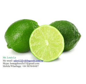 Lima fresca calidad Vietnam/limón fresco/limón sin semillas - Product Image 2