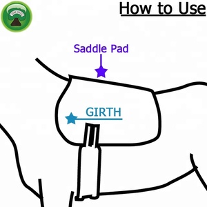 อุปกรณ์สำหรับฝึกม้าอุปกรณ์ฝึกม้า - Product Image 6