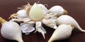 GARLIC - Ail vietnamien CO DON - Product Image 4