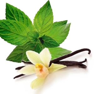 Lot de 6 Huiles Essentielles Certifiées BPF pour Aromathérapie, Vente en Gros OEM/ODM, Huile de Vanille Pure Naturelle et Huile d'Arbre à Thé Extraite par Solvant pour - Product Image 1