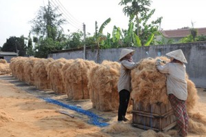 Fibre de coco crue de qualité supérieure fibre de coco coco au prix le moins cher - Product Image 4