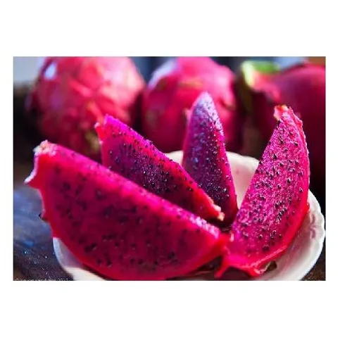 High Quality Red Dragon Fruit , fresh dragon fruit for sale