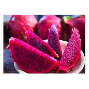 Fruit du Dragon rouge de haute qualité, fruit du dragon frais à vendre - Product Image 1