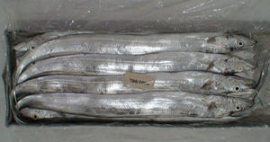 ปลาแซลมอนปลาสีแดงสดแช่แข็ง - Product Image 5