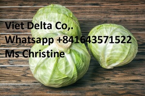 Chou frais (Légumes crucifères) de haute qualité 2kg Marque Viet Delta Certifié Phyto - Product Image 4