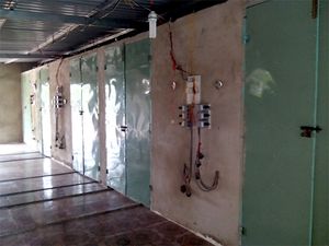 OFFRE DE MELON AMER SÉCHÉ DU VIETNAM - Product Image 3