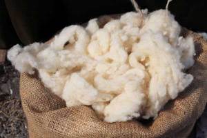 Fibra de Kapok 100% Natural al por Mayor, Fibra Cruda Ecológica para Almohadas Ecológicas - Product Image 2