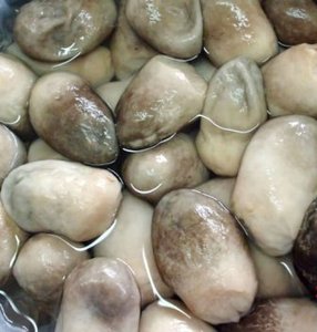 Vente en gros de champignons de haute qualité/champignons en conserve/champignons salés en conserve du Vietnam - Product Image 3