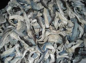 Piel de pescado seca orgánica, venta al por mayor, 2022 - Product Image 4