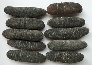 Cetriolo <span class=keywords><strong>di</strong></span> <span class=keywords><strong>Mare</strong></span> Vietnamita Prodotto Speciale a Buon Prezzo - Product Image 5