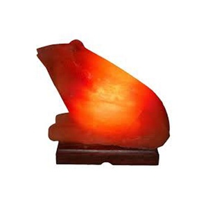 Sian Enterprises Best Suppliers and Exporters of Feng Shui Style Carved Salt Lamps Natural Crafts from Pakistan - Product Image 1