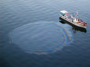 Biological <b>Oil</b> Cleaning Bacteria for Waste Treatment for Grease Trap Machinery - Product Image 6