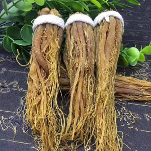 Ginseng Rouge Coréen Séché Amèrement Piquant pour Enfants et Adultes - Product Image 5