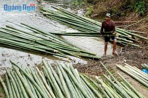 PALOS DE BAMBÚ VIETNAM TAM VONG - Product Image 6