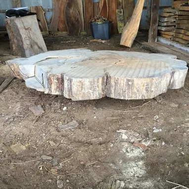 Mesa de centro con borde vivo hecha de árbol de Babool