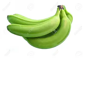 Banane Cavendish verte fraîche de la ferme au Vietnam avec quantité en vrac Meilleure qualité et prix bon marché - Product Image 1