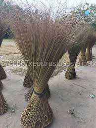 Material for Making Broom/ Coconut <b>Sticks</b> for Broom - Product Image 5