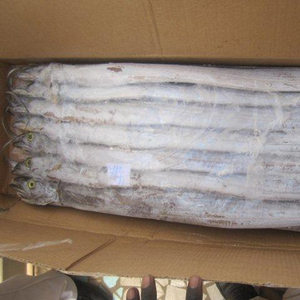 ปลาแซลมอนปลาสีแดงสดแช่แข็ง - Product Image 2